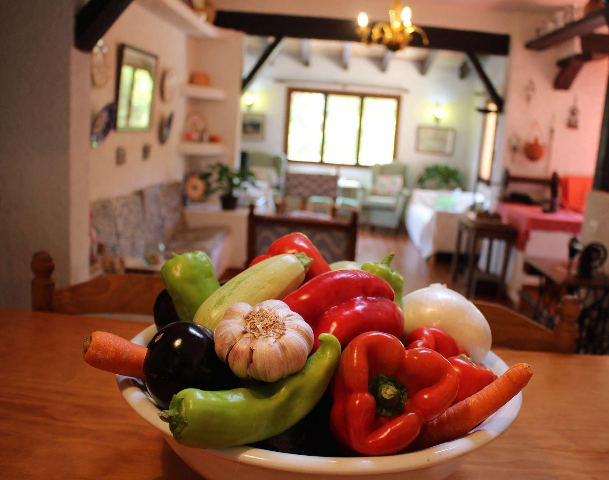 Villa Costa Blanes 칼비아 외부 사진