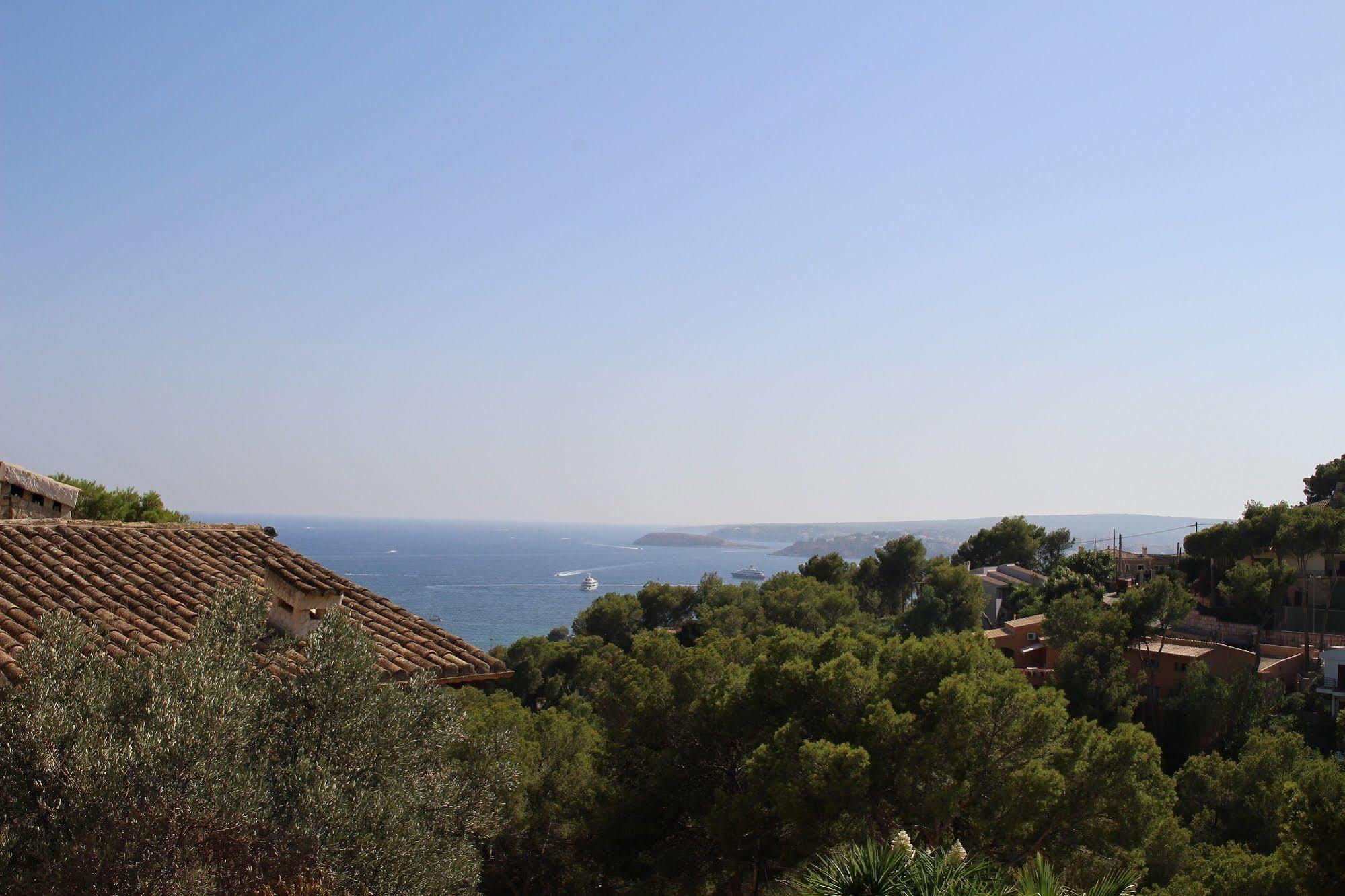Villa Costa Blanes 칼비아 외부 사진