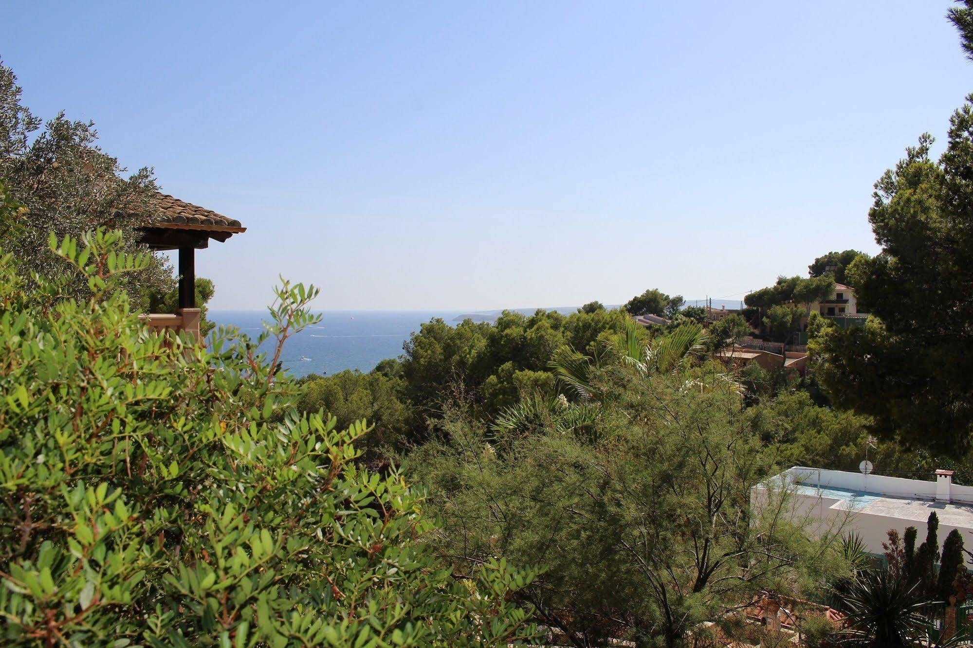 Villa Costa Blanes 칼비아 외부 사진