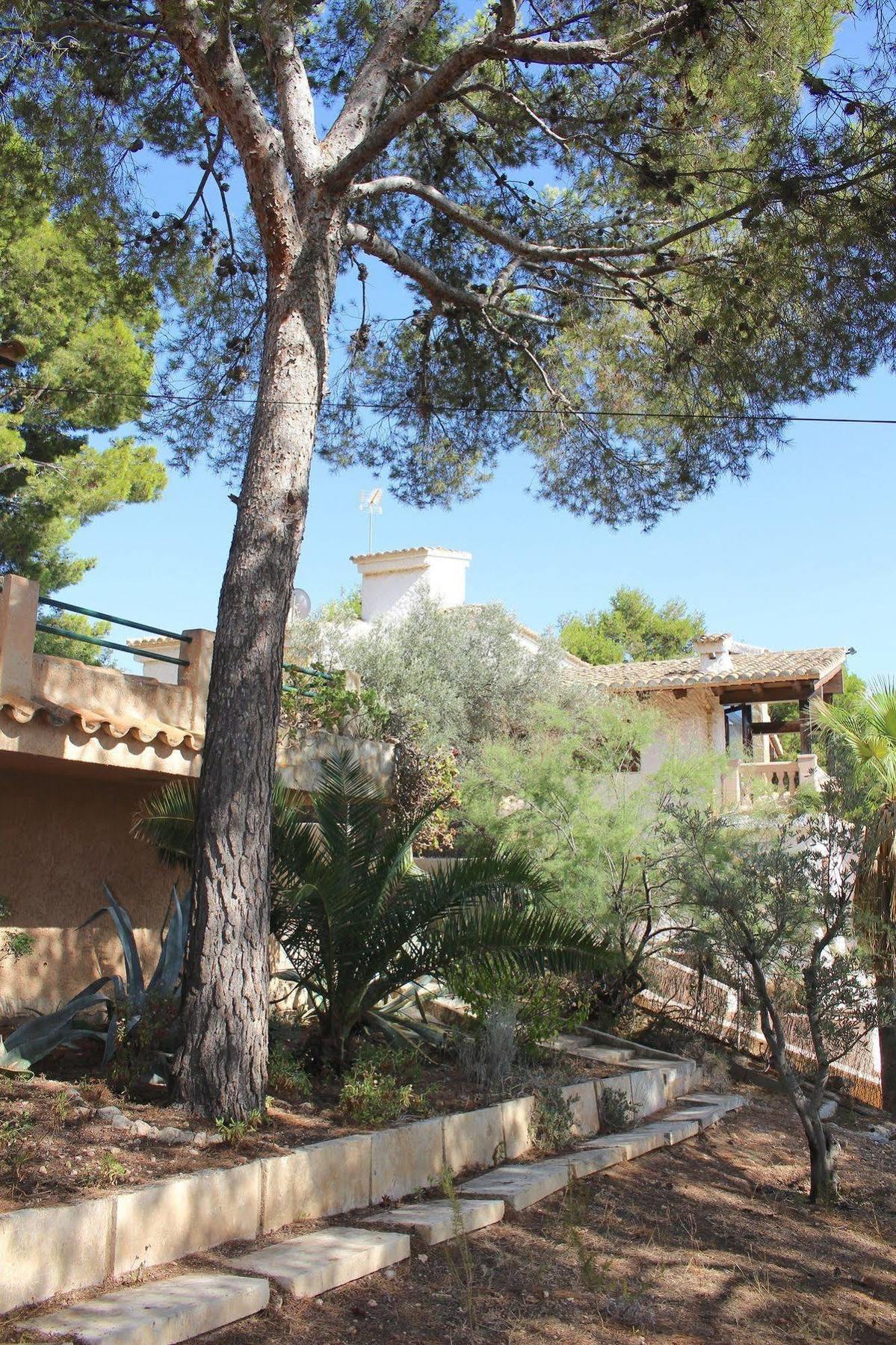 Villa Costa Blanes 칼비아 외부 사진