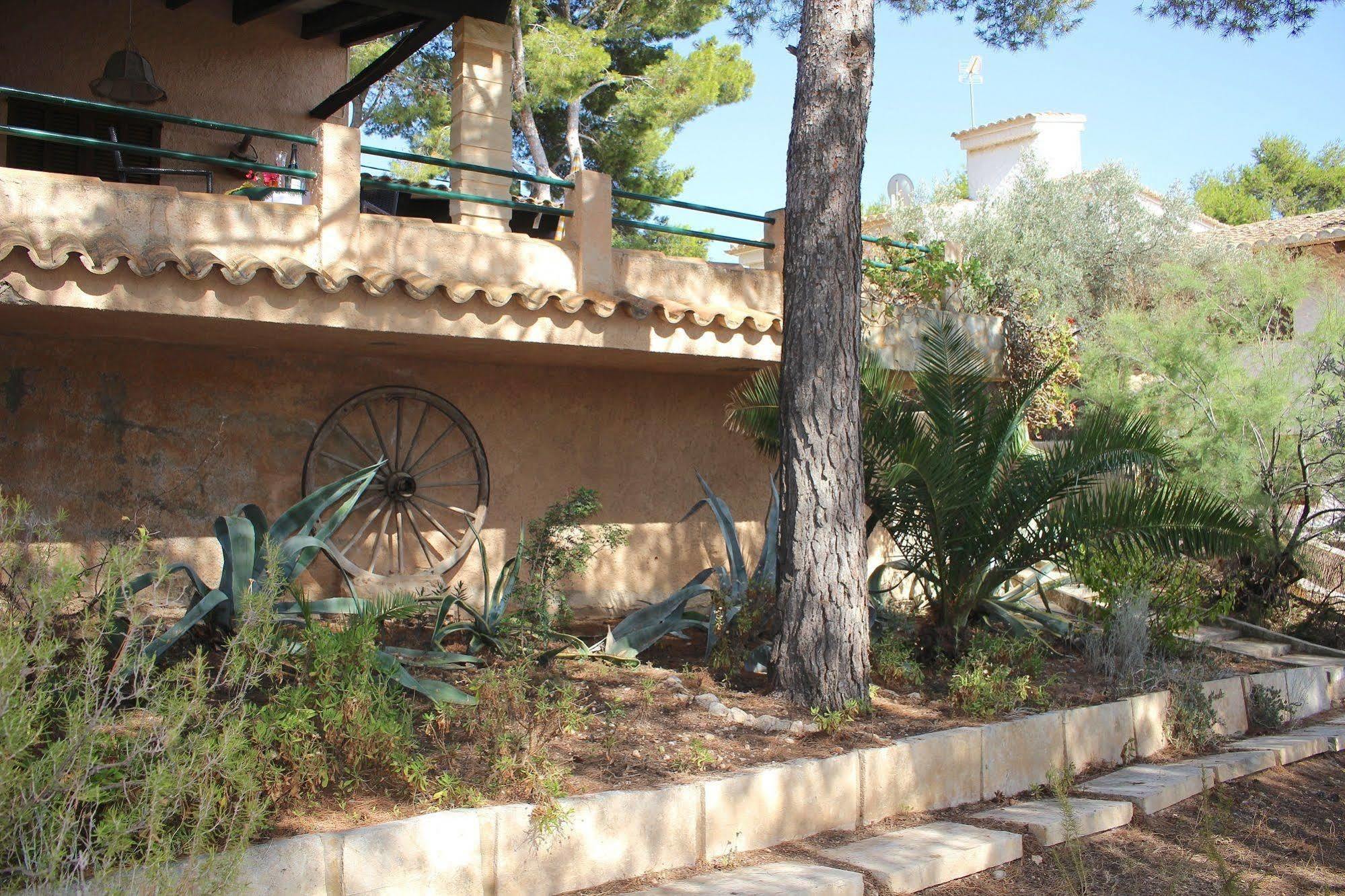 Villa Costa Blanes 칼비아 외부 사진